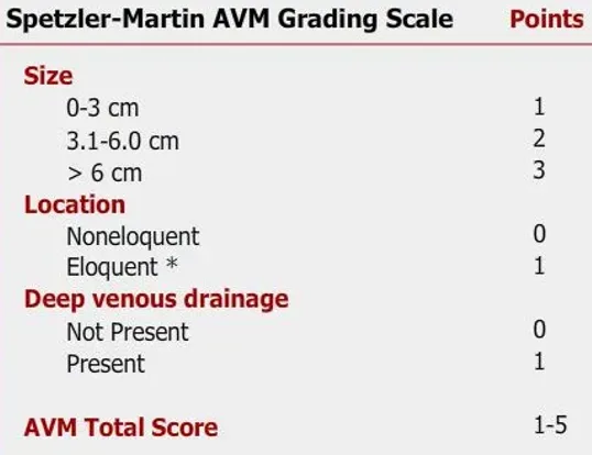 Classification de Spetzler-Martin des MAV