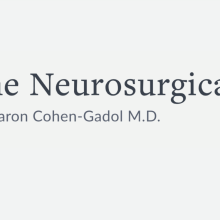 The Neurosurgical Atlas Grand Rounds, Oct 26 2020 – Approach selection for complex skull base lesion – S Froelich